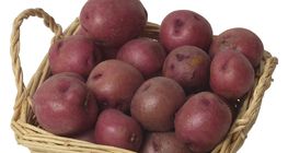Potatoes