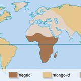 A nagyrasszok térbeli elhelyezkedése – 1