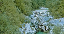 Vale do rio no platô do cársico