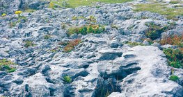 Pavimento de calcário