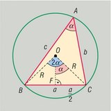 The relationship between a triangle's sides and angles, and the circle drawn around it