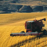 Harvesting