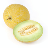 Melon