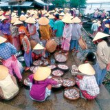 Mercado de peixe no Vietname