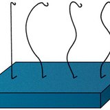 Examination of the spine Examination of the spine