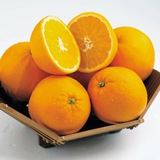 Oranges