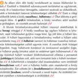 Hűbériség