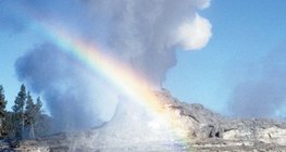 Géiser en el Parque Nacional de Yellowstone