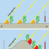 Miért jobb a szőlőt déli lejtőn termeszteni síkság helyett?