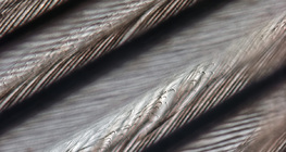 Estrutura fina da pena de pássaro com barbules entrelaçados