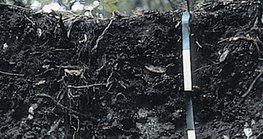 Seção transversal de solo rendzina