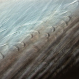 Estrutura fina da pena de pássaro com bárbulas entrelaçadas