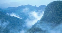 Selva tropical en Centroamérica