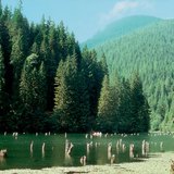 Lago Rojo (Rumanía)