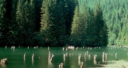 Lago Vermelho (Romênia)