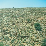 Desierto pedregoso