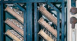 Huevos en una nacedora