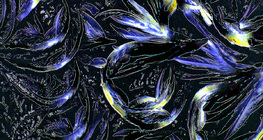 Cristais de glicina (aminoácidos)