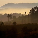 Amanecer con niebla