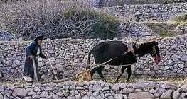 Agricultura en la región mediterránea
