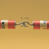 The two spring scales show equal force when pulled away from each other