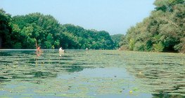 Um dos remansos do rio Tisza