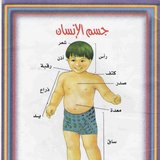 اجزاء الجسم