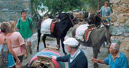 'Taxi stand' na ilha de Rodes