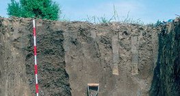 Perfil de chernossolo