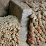 Storage of root vegetables