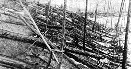 Consequências do evento de Tunguska de 1908
