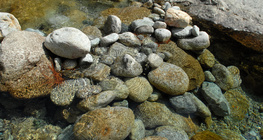 Barragem de rejeitos