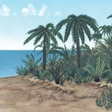 La flora del Jurásico