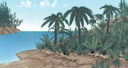 Flora do período jurássico