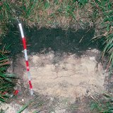 Sección del suelo Rendzina