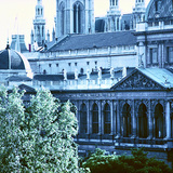 Ayuntamiento de Viena