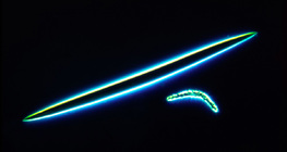 Esponjas e espículas microseps e megascleres (Spongilla lacustris)