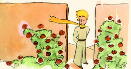 O pequeno príncipe com as rosas