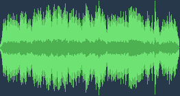 Camille Saint-Saëns - O Carnaval dos Animais