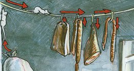 A vida de um rato doméstico na despensa e adega