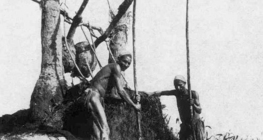 Shaduf, un aparato utilizado en Egipto para la elevación de aguas poco profundas