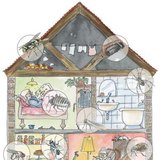 Residential buildings can host a variety of arthropods