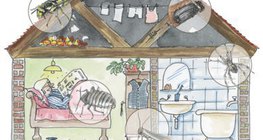 Edifícios residenciais podem hospedar uma variedade de artrópodes