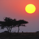 Sunrise over the savannah