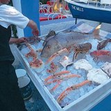 It is recommended to try Greek seafood