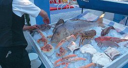 Recomenda-se experimentar frutos do mar gregos