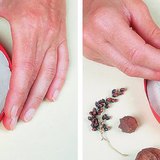 Hacer bajorrelieve con frutos de otoño - Paso 1