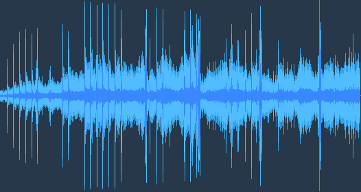Great spotted woodpecker