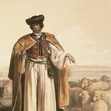 Shepherd