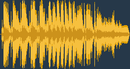 Camille Saint-Saëns - O Carnaval dos Animais